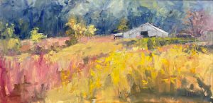 Hidden Valley 12x24