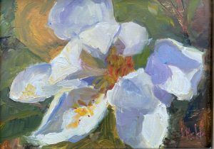 Magnolia Bloom 9x12